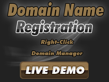 Half-price domain name registration service providers